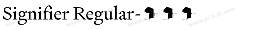 Signifier Regular字体转换 Signifier Regular字体转换